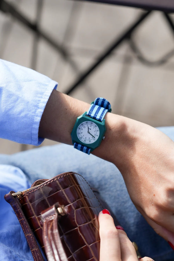 Mini Kyomo A Day on Earth Watch