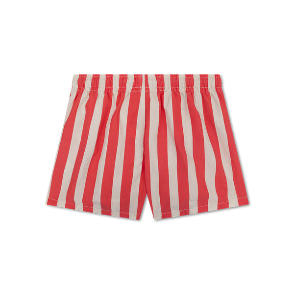 Swim Essentials Lobster Stripe Adult Swim Shorts